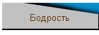 Бодрость