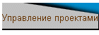 Управление проектами